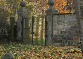 Vain 1 % lukijoista löytää kuvan naisen! Näetkö sinä naisen?