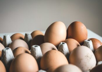 shallow focus photography of brown eggs